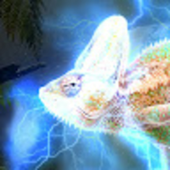 chameleoncraft